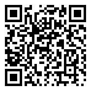 Bitcoin Cash QR